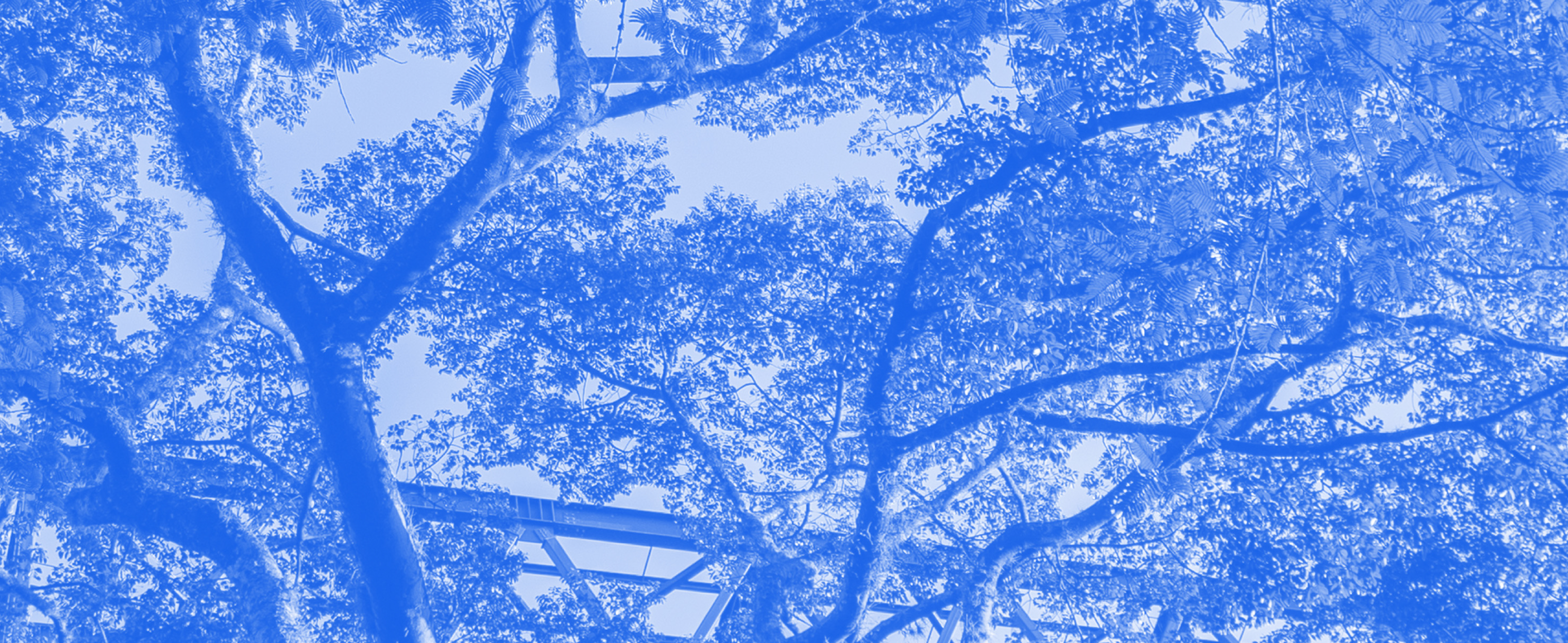 Imagen ¡Matricúlate ahora con tarifas de 2025!